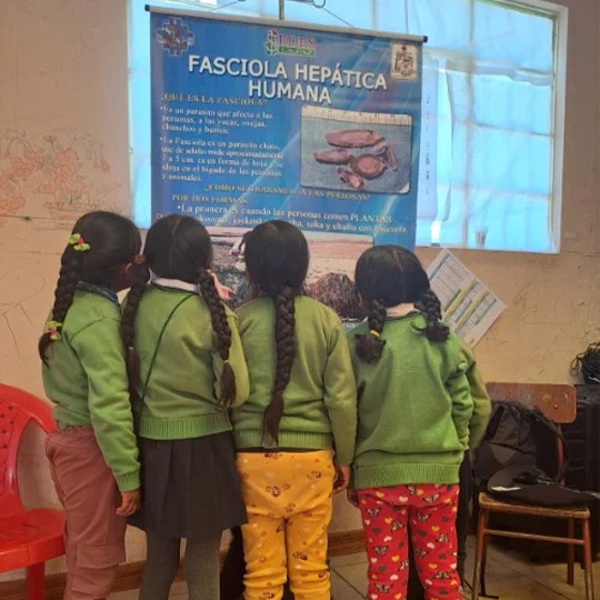Representative picture of the project