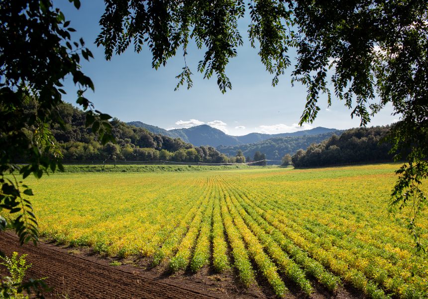 Seminario sobre novedades fiscales 2026 para cooperativas agroalimentarias
