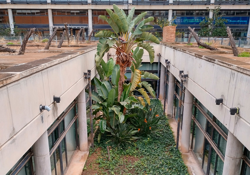 Courtyards