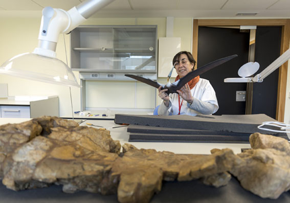 La directora, Anna García Forner, examina una de les peces.