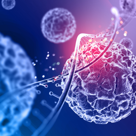 Representative picture of the project