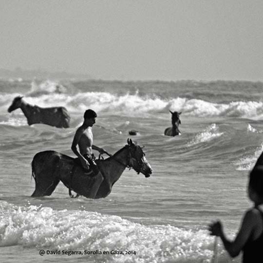 Drawing of horses on the beach