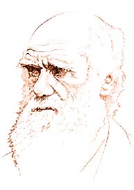 Image of the activity.