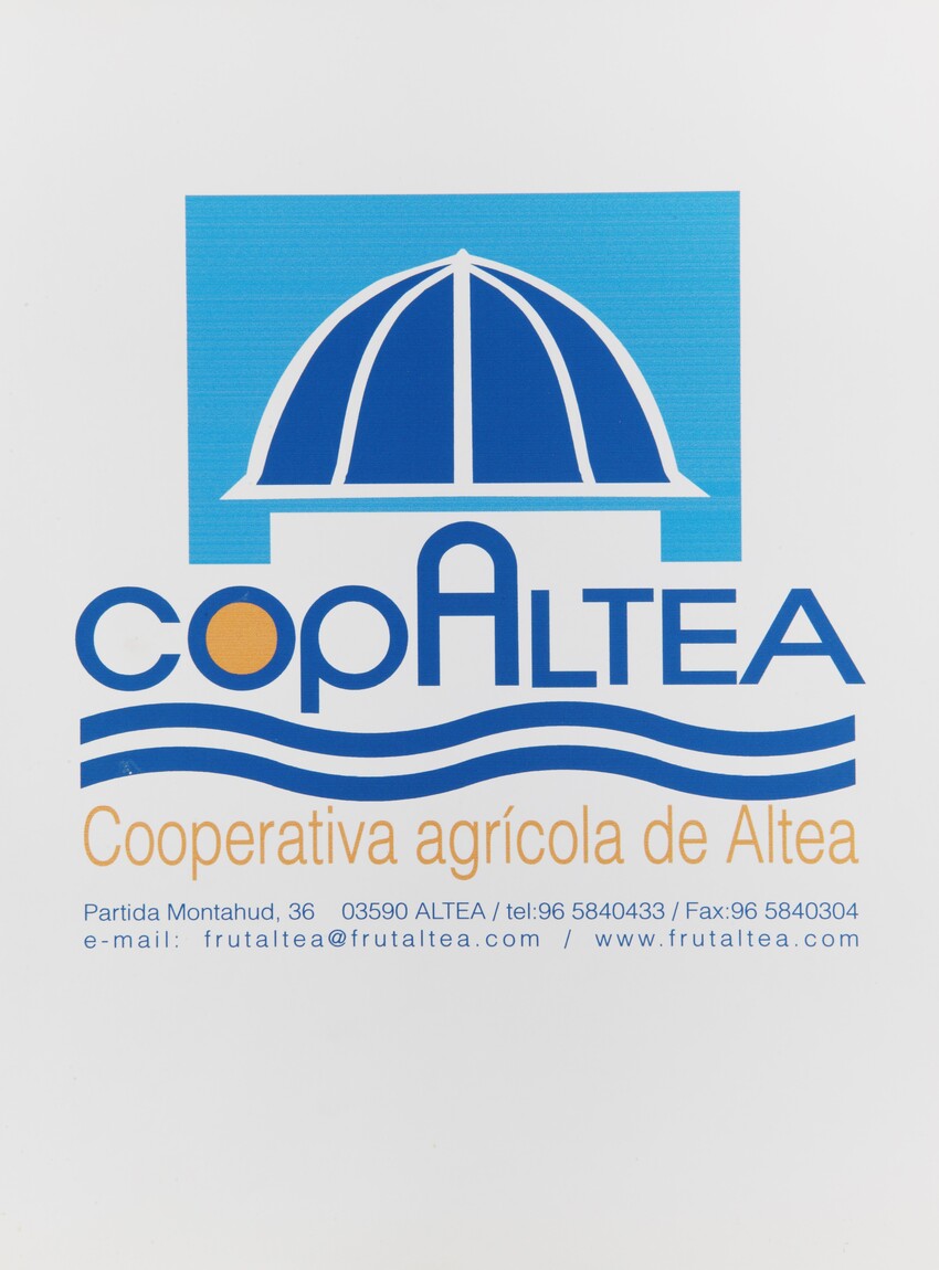Normas de identidad de CopAltea
