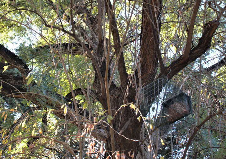 Una gàbia amb menjadora al Jardí Botànic.