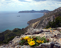 Representative picture of the project