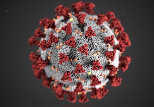 Imatge modil coronavirus