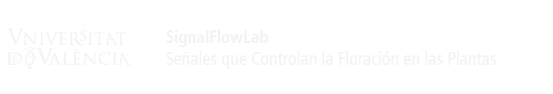 Logo del portal