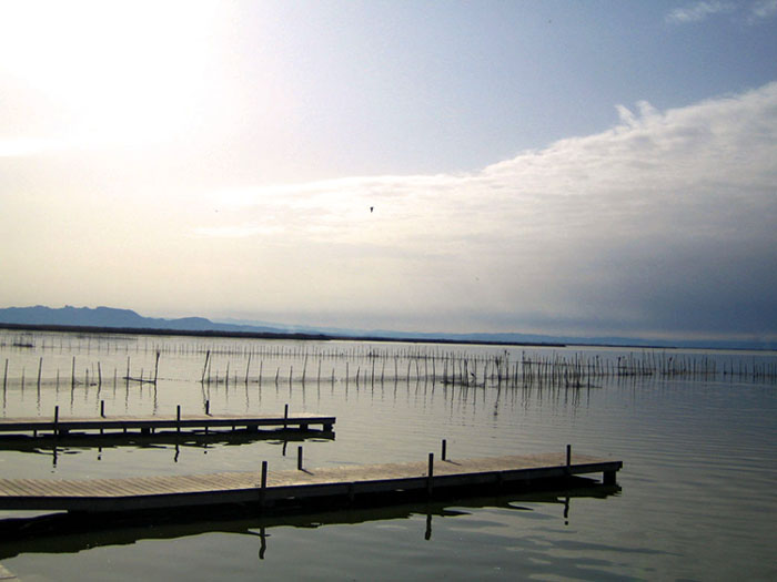 Representative picture of the project