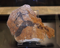 Representative picture of the project