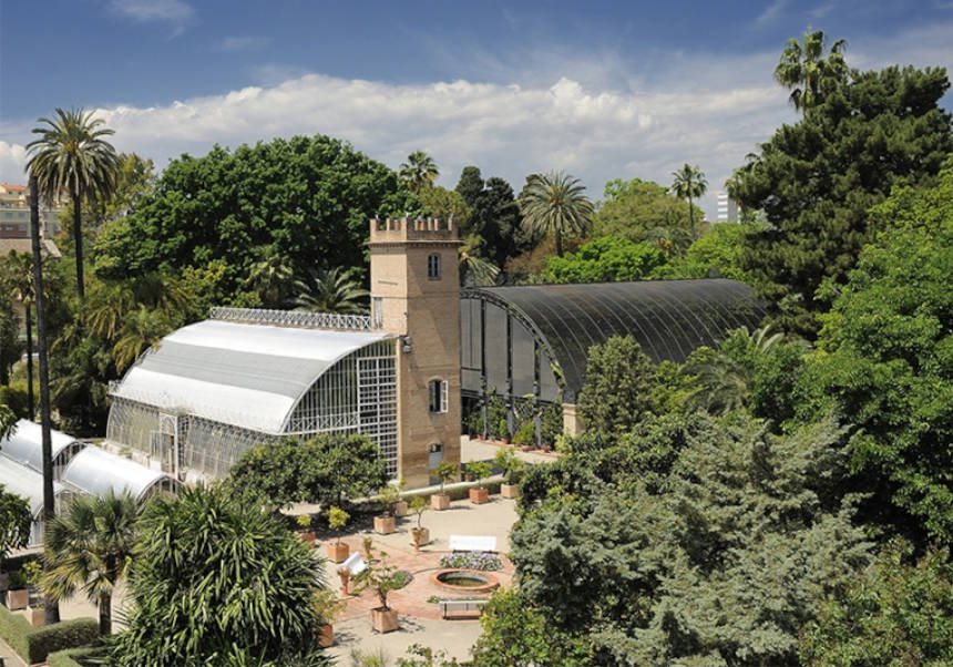 Imatge del esdeveniment:Jardí Botànic de la UV.