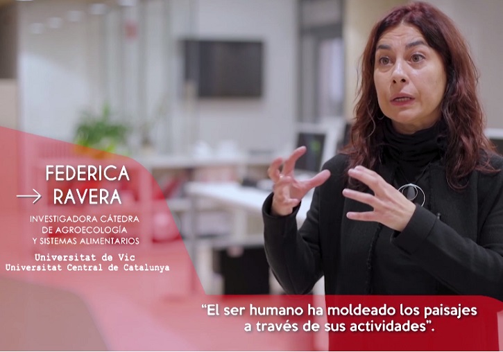 Imatge representativa de la novetat