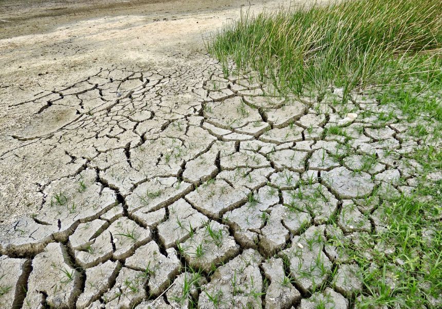 Imagen representativa de la novedad