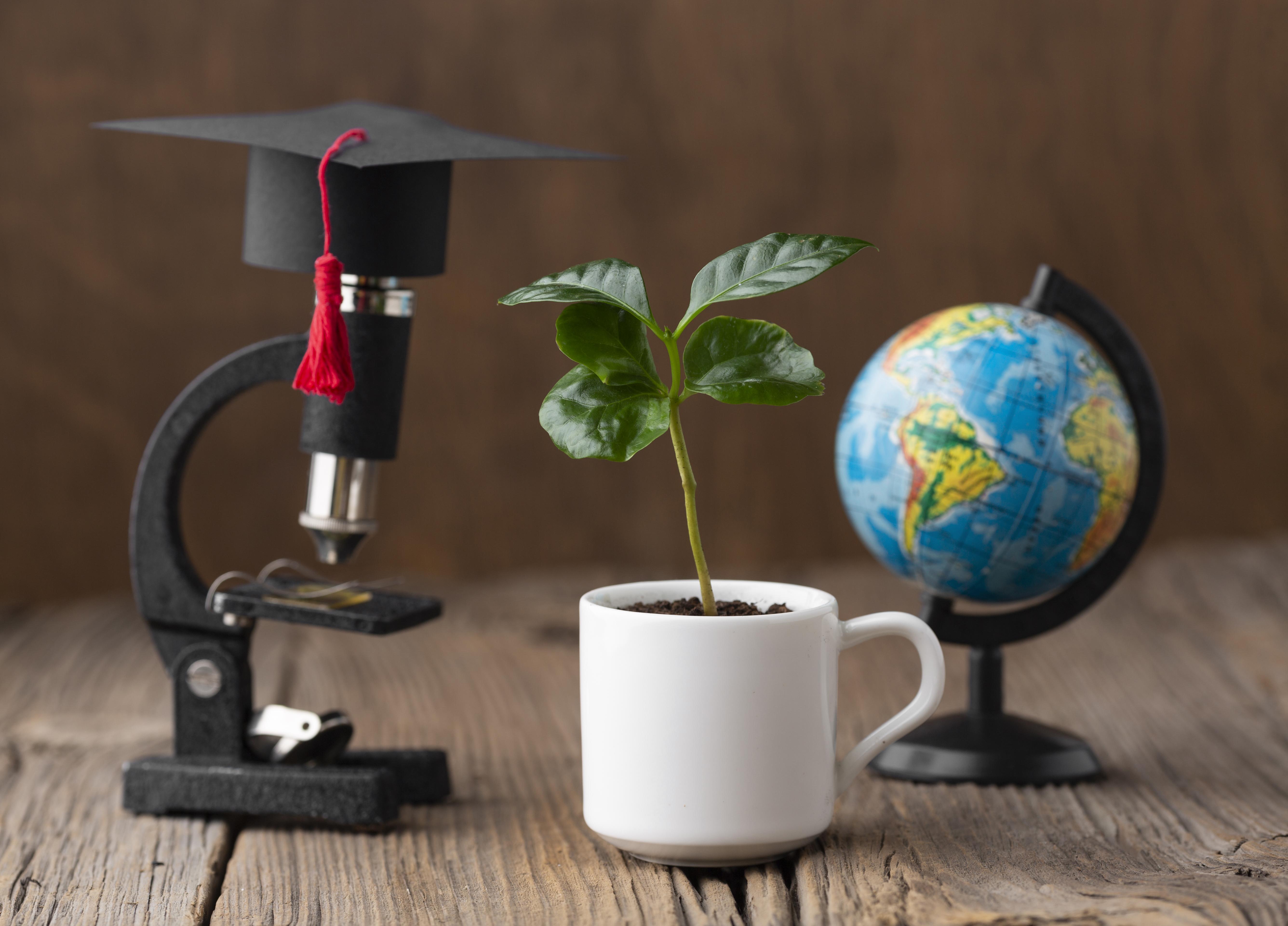 Sustainable education concept