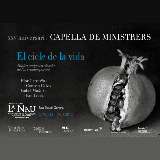 Imatge representativa del projecte