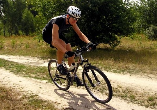 Cicilista
