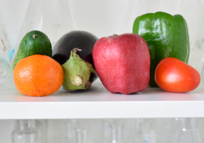 Science feeds plants-based diets