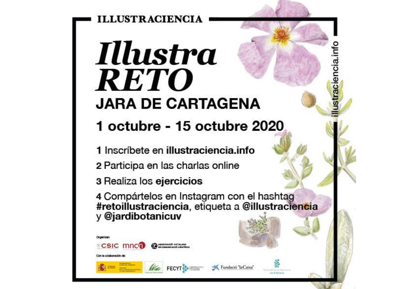 Illustrareto
