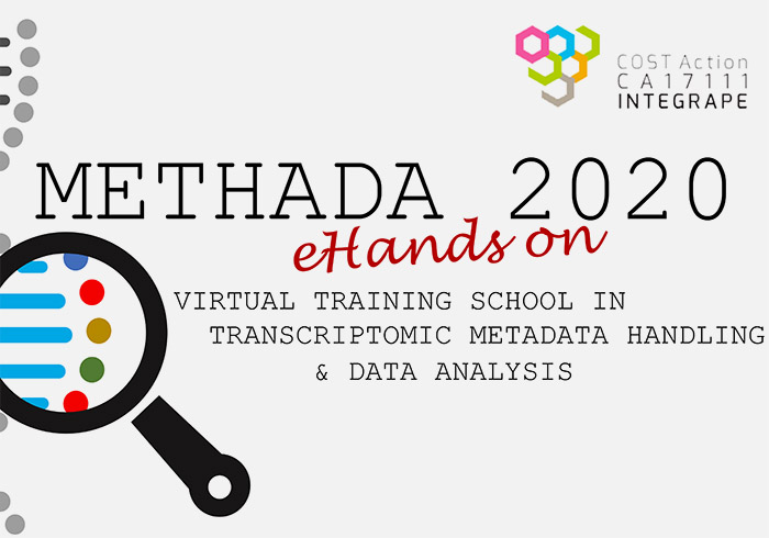 METHADA 2020