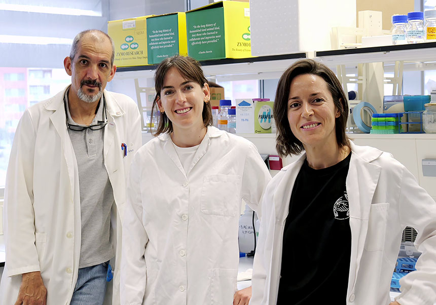 Santiago F. Elena, Victoria García Castiglioni i María José Olmo Uceda, al seu laboratori de l’I2SysBio