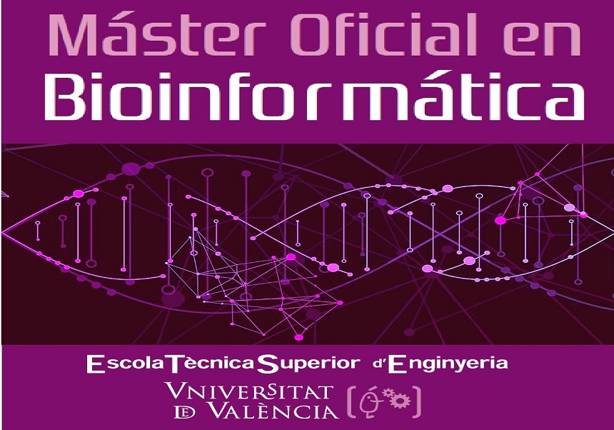 Master’s Degree in Bioinformatics at the UV. A chance for success