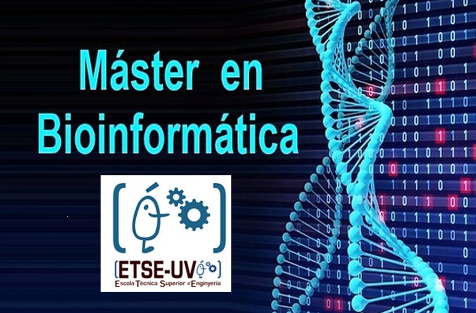 Image de la noticia