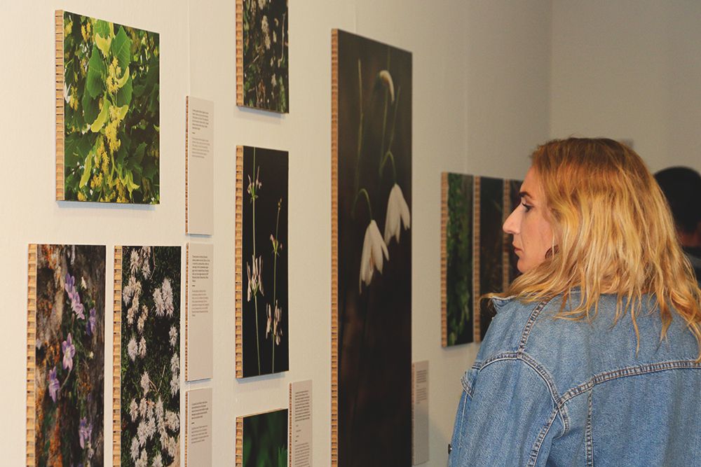 Exposiciones microrreservas