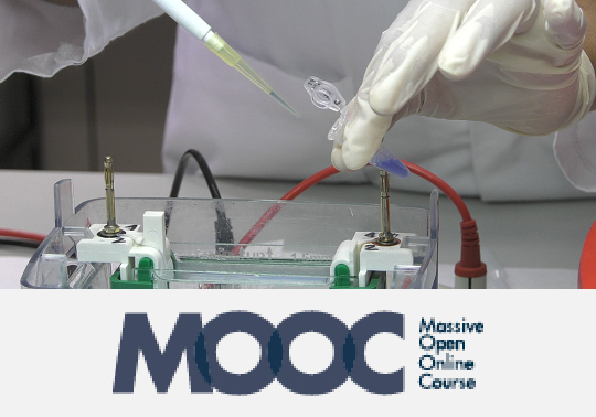 MOOC 2019