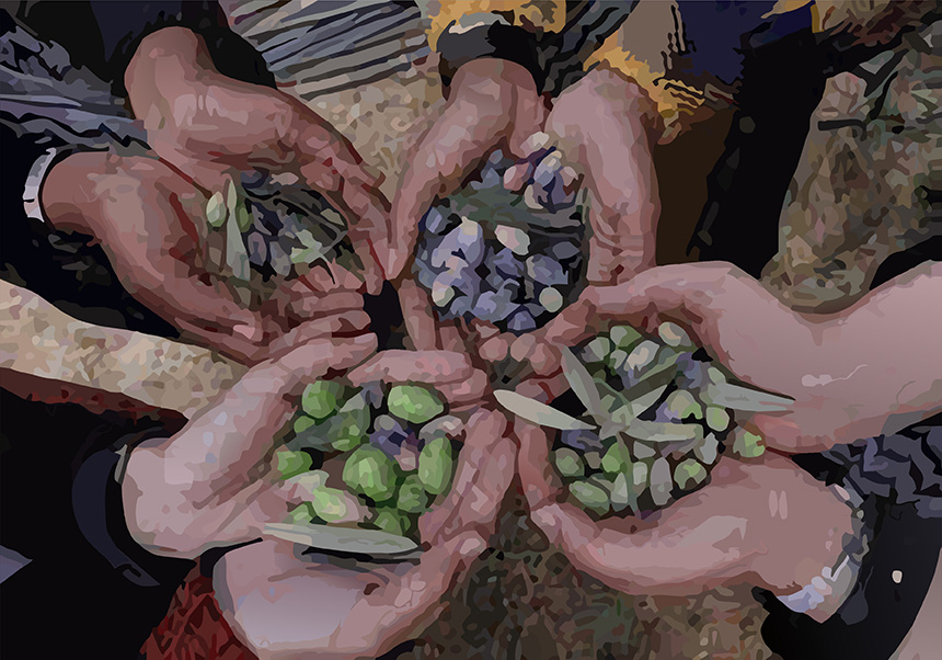 Tierra, Agua, Vida: el campesinado palestino frente a la ocupación