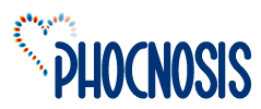 Representative picture of the project