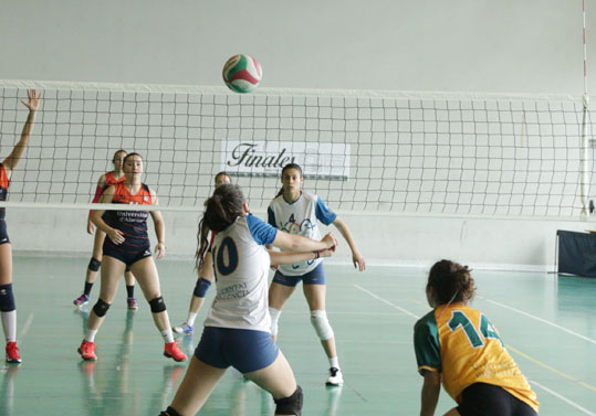 Equip de Voleibol de la Universitat