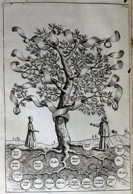 Gravat l'arbre de la Ciència