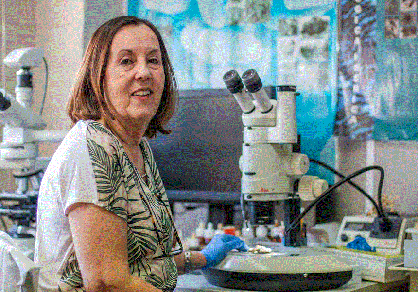 Entrevista a la professora Violeta Atienza en la Revista Metòde