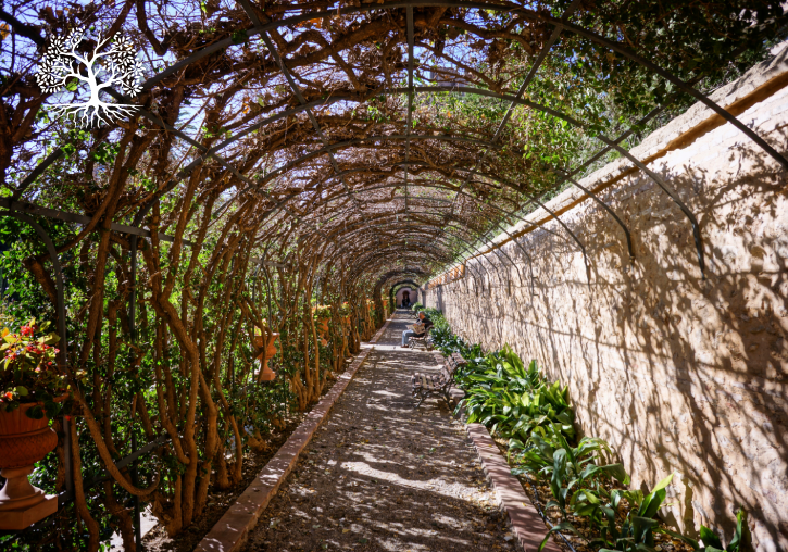 Imatge dels Jardins de Monfort