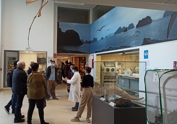 Taller Museu Hª Natural (1a edició)(30/11/22)