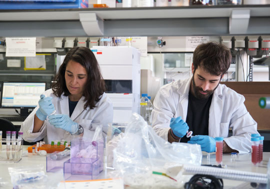 Two researchers in a laboratory.