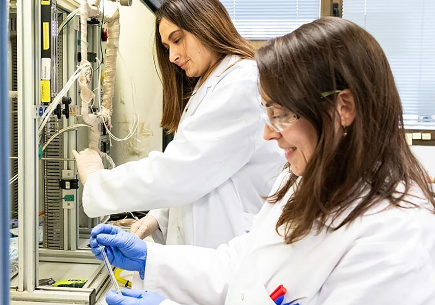 Investigadoras en el ICMol
