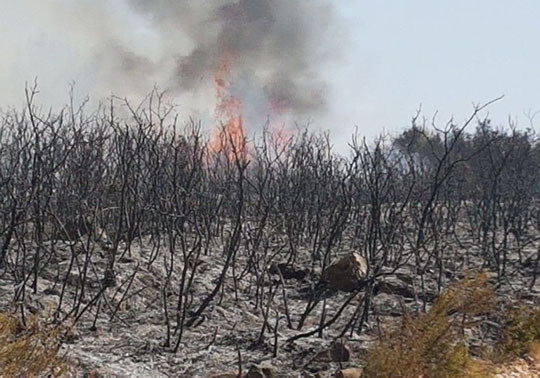 Incendio Llutxent