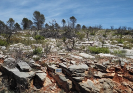 Valencian mountain