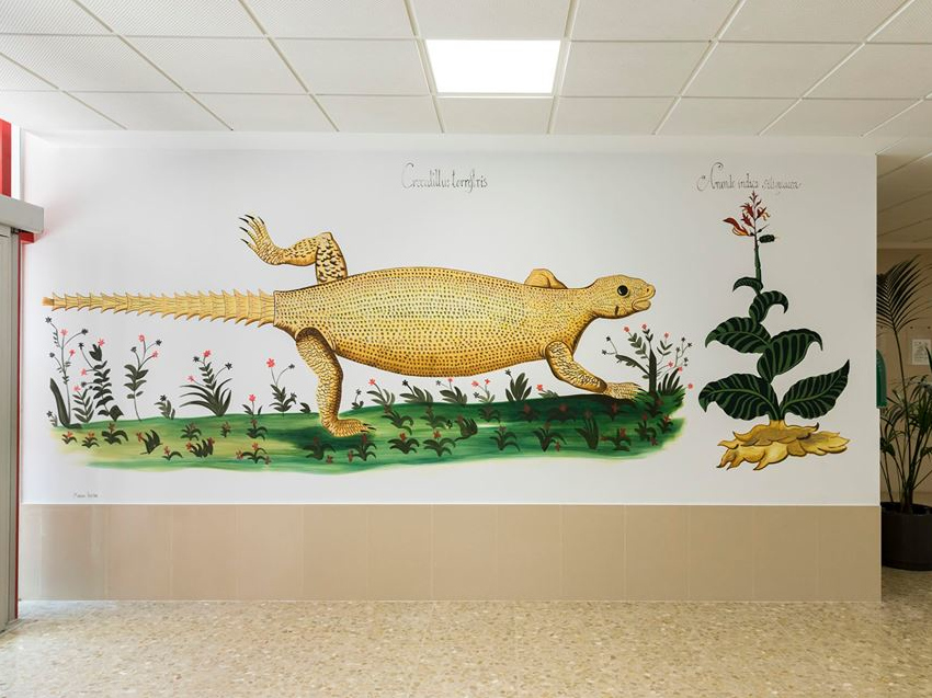 Il·lustració fardatxo i planta