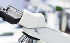 Microscope