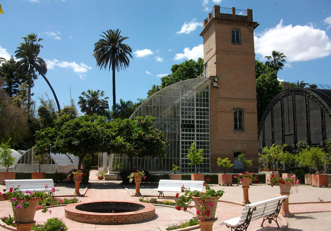 The Botanical Garden of the University of Valencia will house the citizen consultation of the CONCISE project in Spain. Author: Joanbanjo.