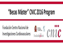 Becas CNIC