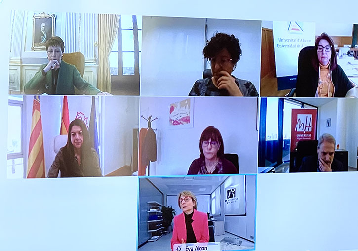 Video call of the principals with the regional minister of Universities