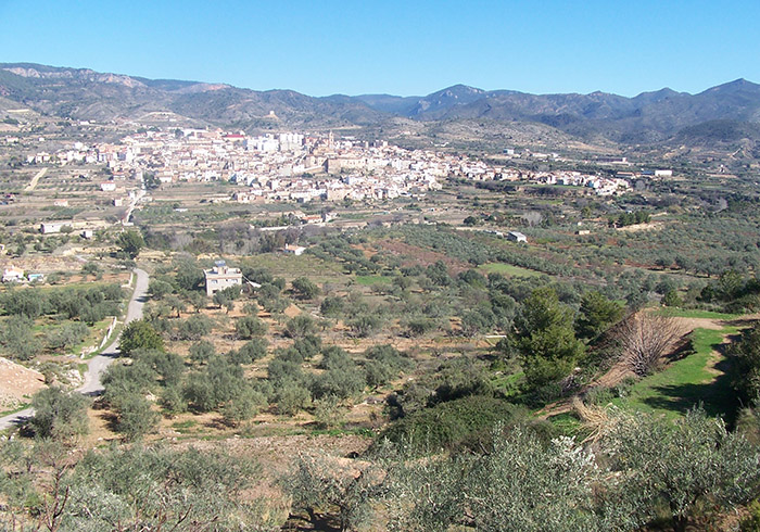 Aras de los Olmos y Chelva acogen las III Jornadas de Museos de la Comunidad