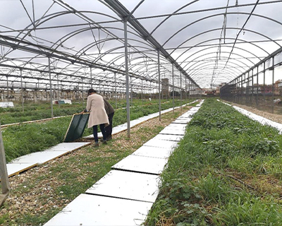 Representative picture of the project