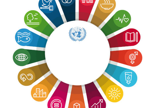Education and the Sustainable Development Goals'