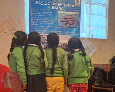 Representative picture of the project