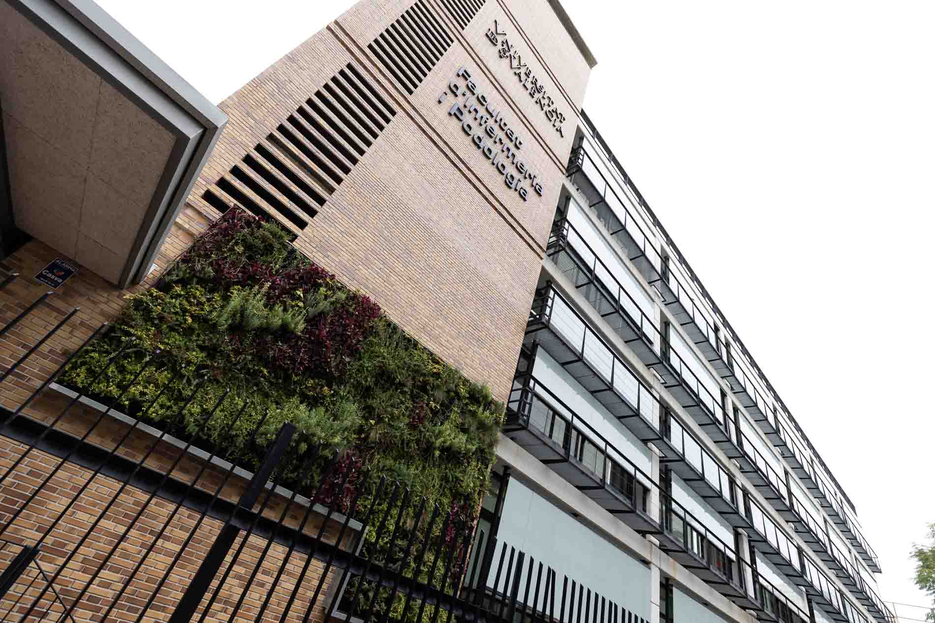 Jardí a la façana de la Facultat - imatge 0