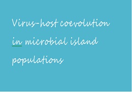 Virus-host coevolution in microbial island populations